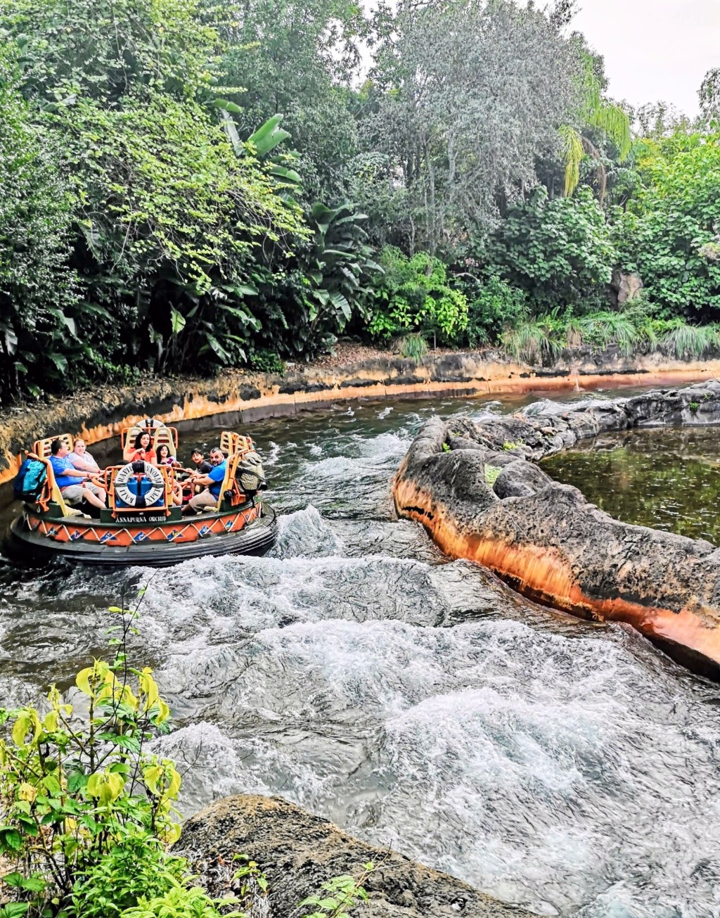 Walt Disney World – day&nbsp;11